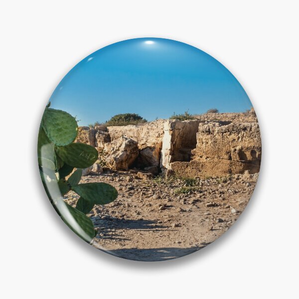 Artikelvorschau, Kaktus Im Archäologischen Park Paphos Zypern entworfen und verkauft von adamtepl.