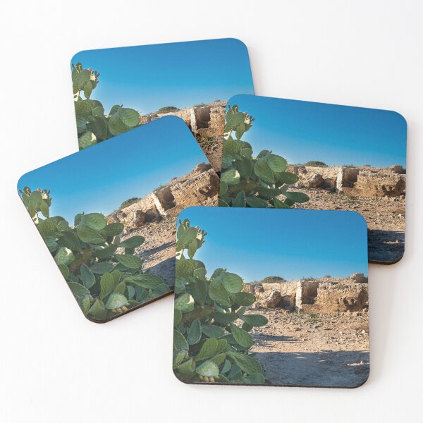 Item preview, Cactus In The Paphos Archaeological Park Cyprus designed and sold by adamtepl.