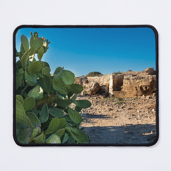Item preview, Cactus In The Paphos Archaeological Park Cyprus designed and sold by adamtepl.