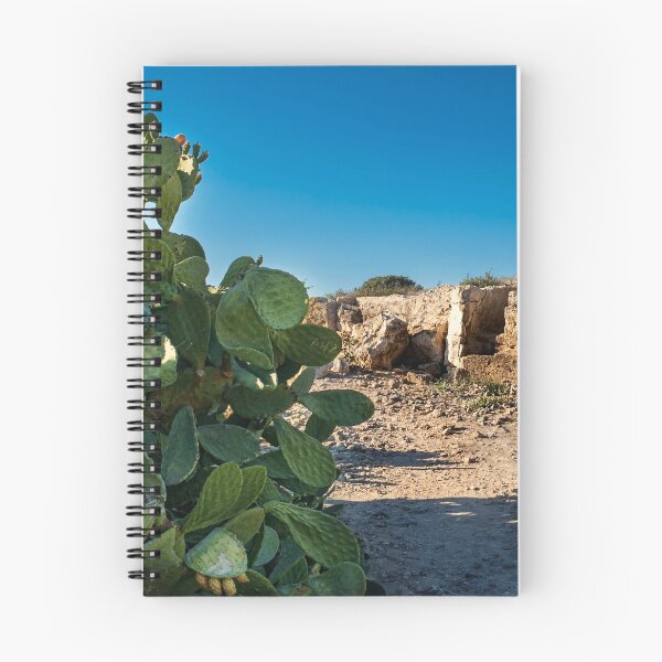 Item preview, Cactus In The Paphos Archaeological Park Cyprus designed and sold by adamtepl.