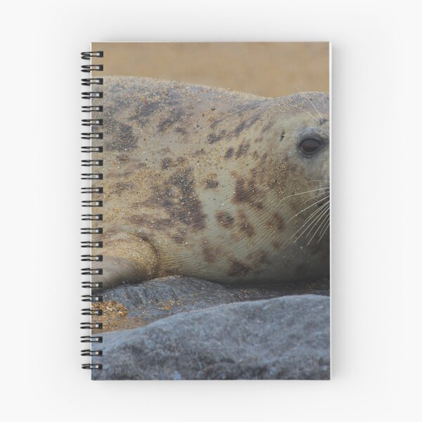 Item preview, Baby Seal designed and sold by richardgowen.