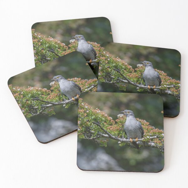 Item preview, Cuckoo designed and sold by RCMPhotography.