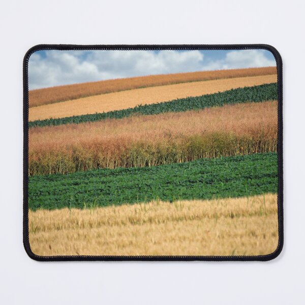 Item preview, soybean and wheat fields in springtime landscape designed and sold by goceris.