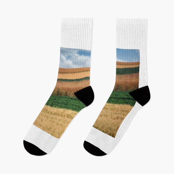 Item preview, soybean and wheat fields in springtime landscape designed and sold by goceris.