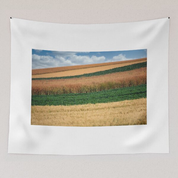 Item preview, soybean and wheat fields in springtime landscape designed and sold by goceris.