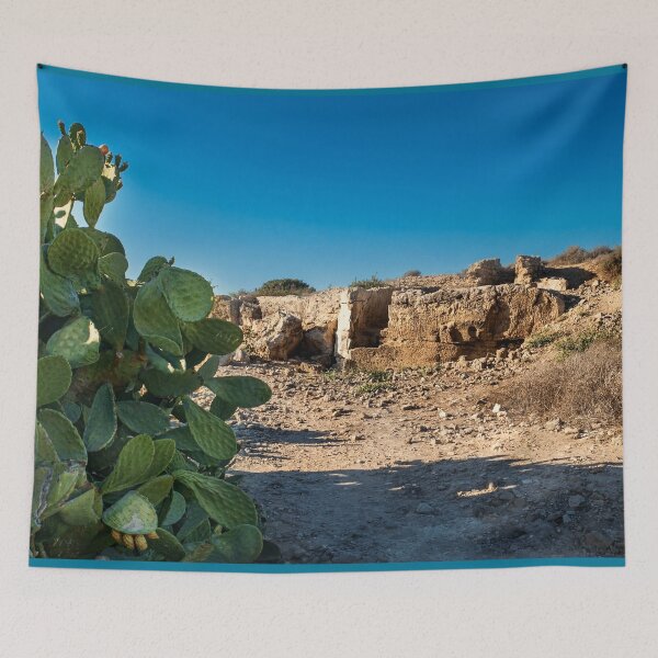 Item preview, Cactus In The Paphos Archaeological Park Cyprus designed and sold by adamtepl.