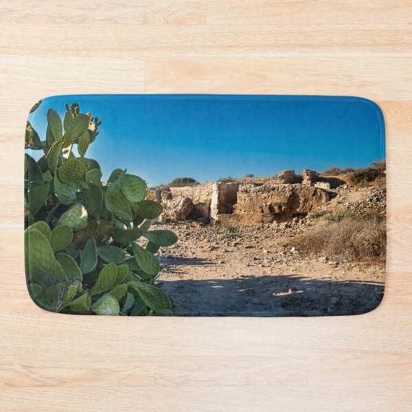 Item preview, Cactus In The Paphos Archaeological Park Cyprus designed and sold by adamtepl.