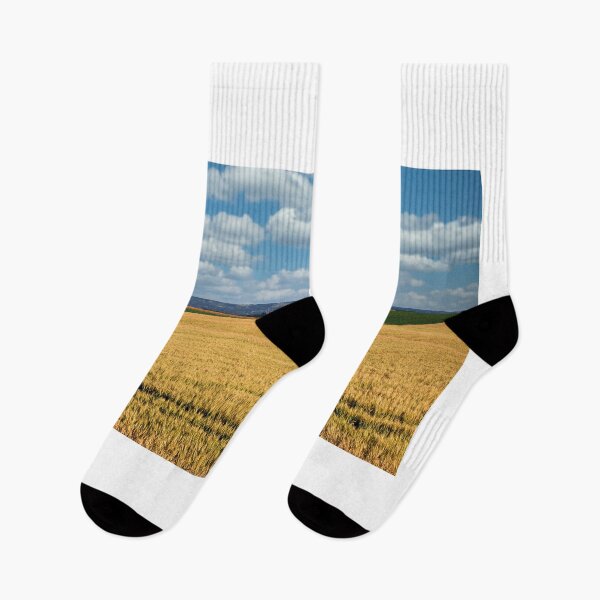 Item preview, wheat fields in spring landscape designed and sold by goceris.