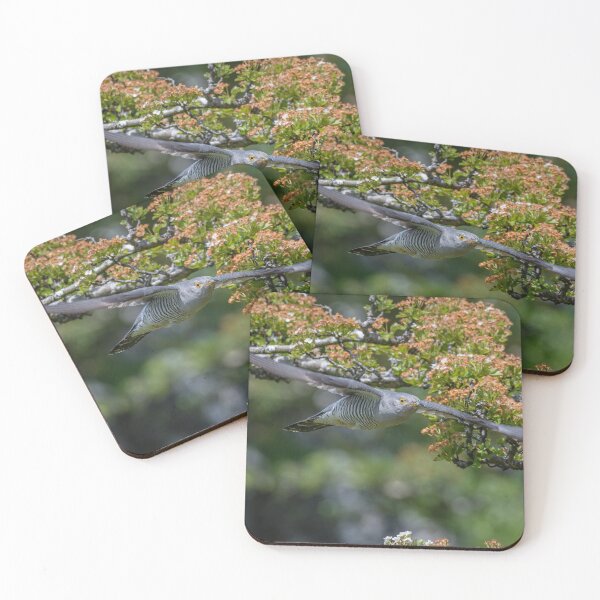 Item preview, Cuckoo In Flight designed and sold by RCMPhotography.