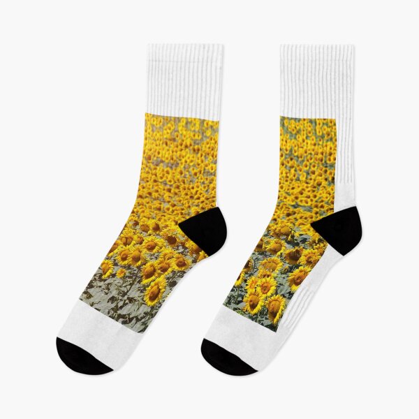 Item preview, Sunflower field nature background summertime designed and sold by goceris.