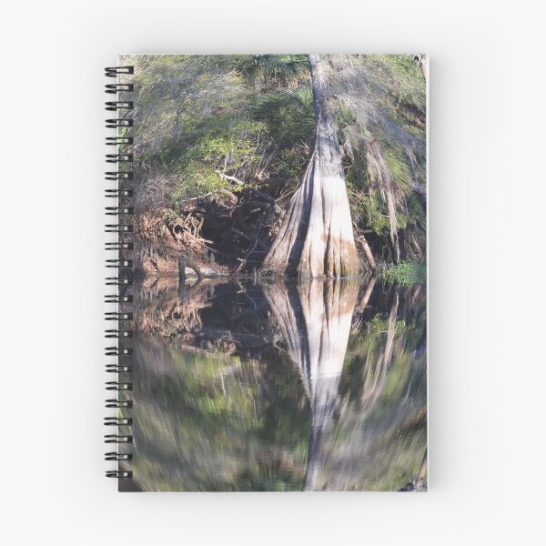 Item preview, Fisheye Cypress designed and sold by Warren  Thompson.