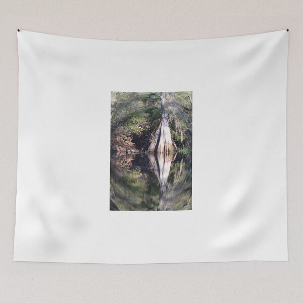 Item preview, Fisheye Cypress designed and sold by Warren  Thompson.