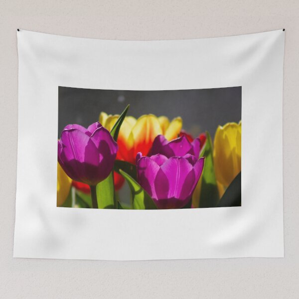 Item preview, Tulip flowers catching the summer sun designed and sold by HalcyonPrints.
