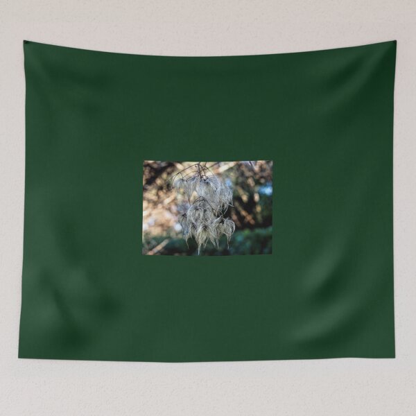 Item preview, Hairy Seed Pods......Lyme Dorset UK designed and sold by lynn carter.
