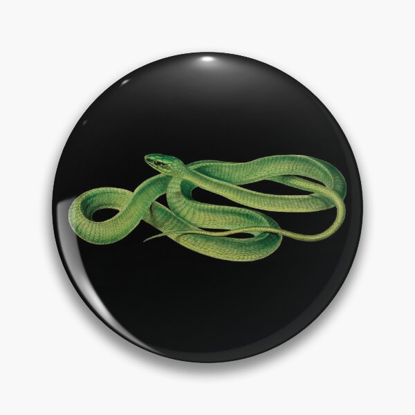 Item preview, Vintage Snake Pictures | Boomslang Snake | Vintage Reptile Images | Green Snakes designed and sold by WadeLestat.