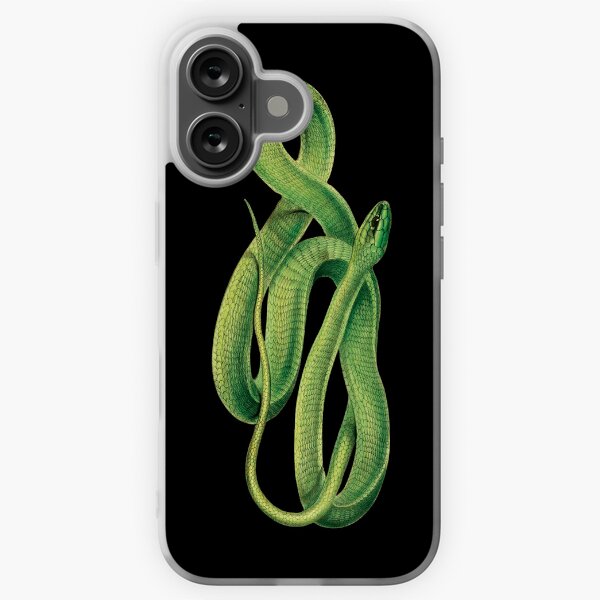 Vintage Snake Pictures Boomslang Snake Vintage Reptile Images