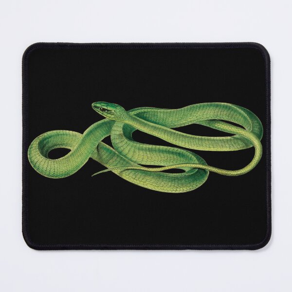 Item preview, Vintage Snake Pictures | Boomslang Snake | Vintage Reptile Images | Green Snakes designed and sold by WadeLestat.