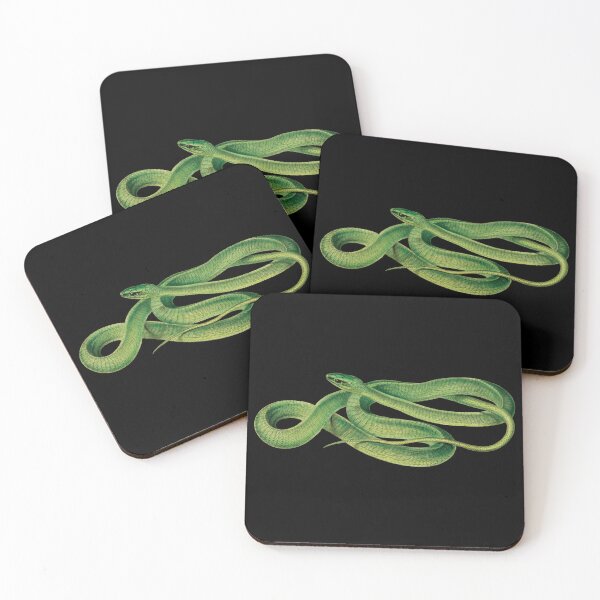 Item preview, Vintage Snake Pictures | Boomslang Snake | Vintage Reptile Images | Green Snakes designed and sold by WadeLestat.
