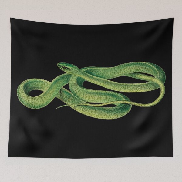 Item preview, Vintage Snake Pictures | Boomslang Snake | Vintage Reptile Images | Green Snakes designed and sold by WadeLestat.