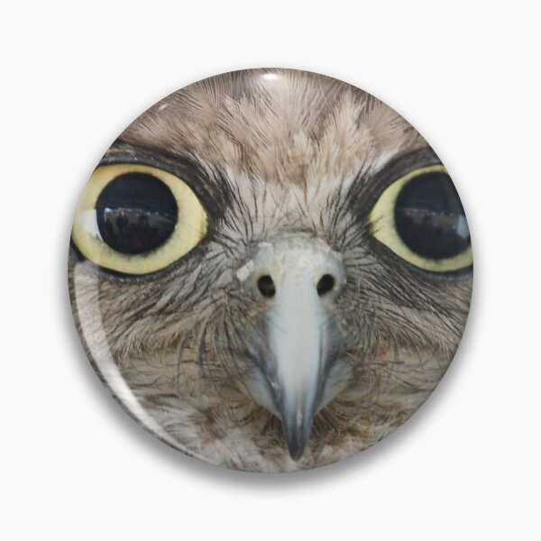 Item preview, Barking Owl designed and sold by Adrianne Yzerman.
