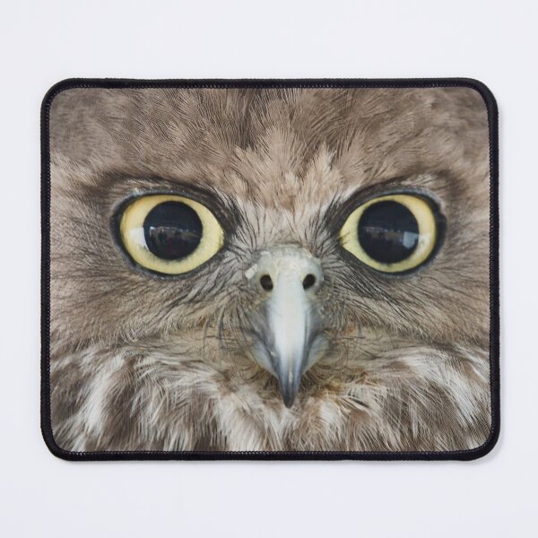 Item preview, Barking Owl designed and sold by Adrianne Yzerman.