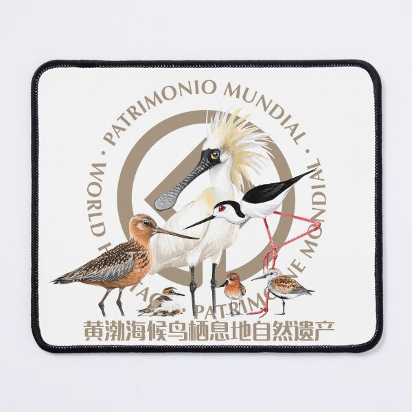 Item preview, Shorebird Conservation designed and sold by LeoXiang.