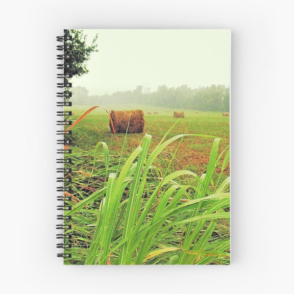 Item preview, "Tall Grass and Hay Bales"... prints and products designed and sold by Bob Hall©.