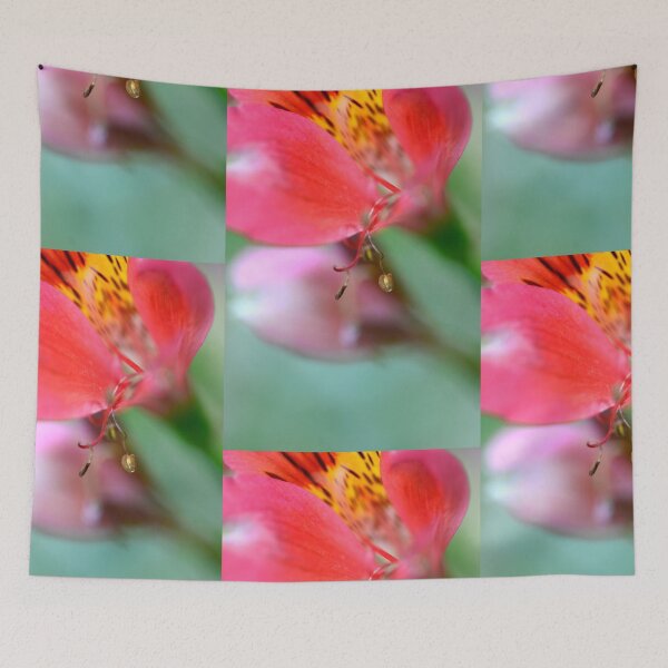 Item preview, Alstroemeria  designed and sold by imaginethis.