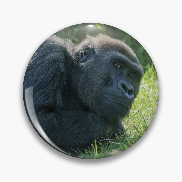 Item preview, Gorilla Taking It Easy designed and sold by rawshutterbug.