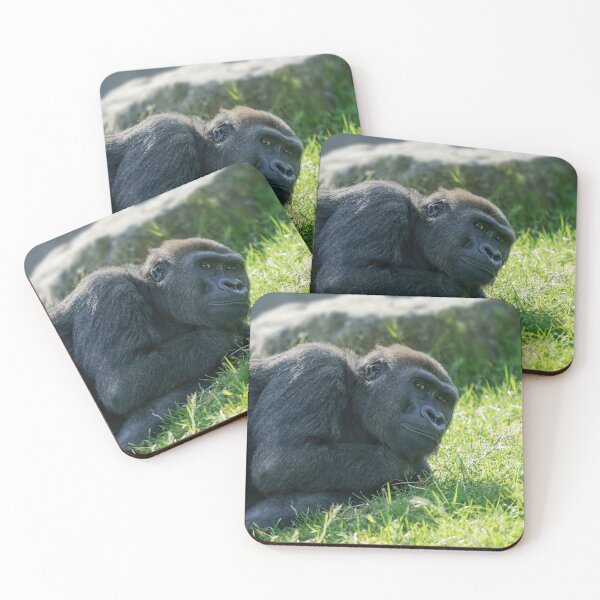 Item preview, Gorilla Taking It Easy designed and sold by rawshutterbug.
