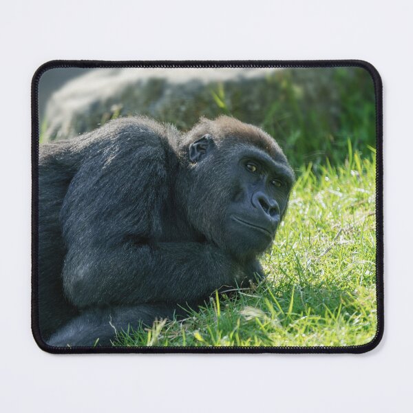 Item preview, Gorilla Taking It Easy designed and sold by rawshutterbug.