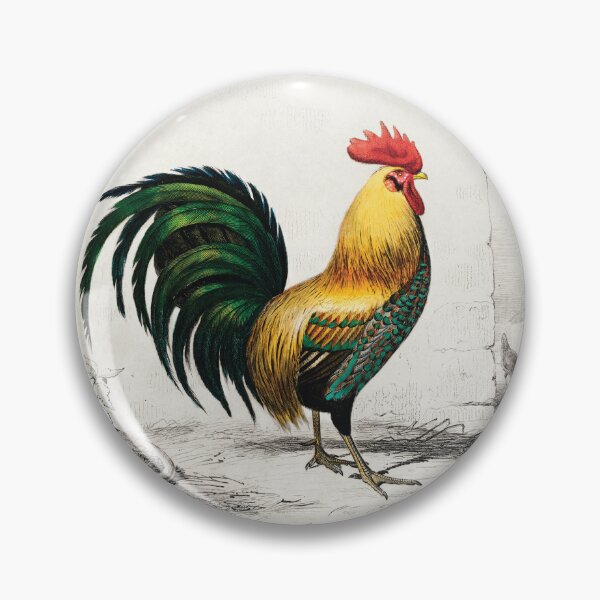 Item preview, Colourful cock hand drawing. vintage animal designed and sold by NineJuly.