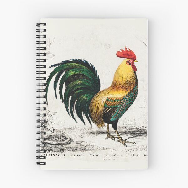 Item preview, Colourful cock hand drawing. vintage animal designed and sold by NineJuly.