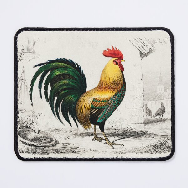 Item preview, Colourful cock hand drawing. vintage animal designed and sold by NineJuly.