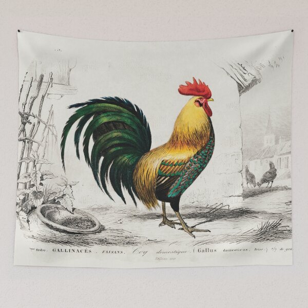 Item preview, Colourful cock hand drawing. vintage animal designed and sold by NineJuly.