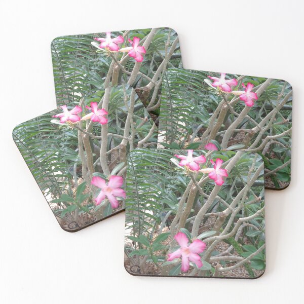 Item preview, Desert Rose designed and sold by GardenArtworks.