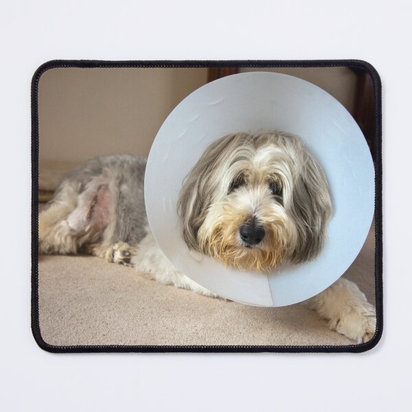 Item preview, Get Well soon designed and sold by Paul Thompson Photography.