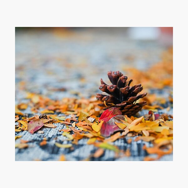 Item preview, Pine Cone Autumn designed and sold by MTmix.
