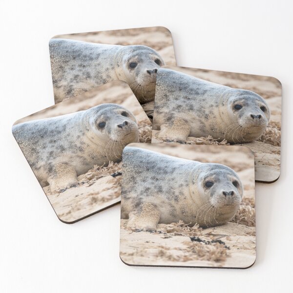 Item preview, Cute grey seal pup designed and sold by cdkphotos.