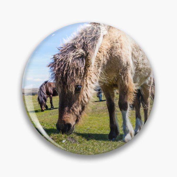 Item preview, Dartmoor Pony  designed and sold by Paul Thompson Photography.