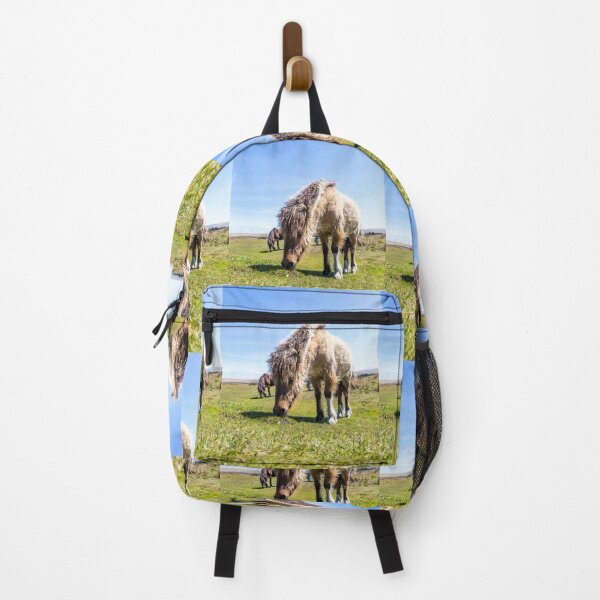 Item preview, Dartmoor Pony  designed and sold by Paul Thompson Photography.