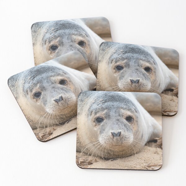Item preview, Adorable grey seal pup designed and sold by cdkphotos.