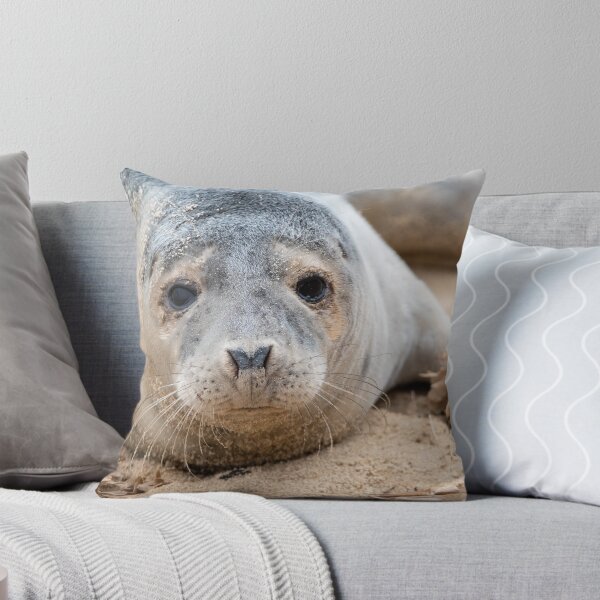 Item preview, Adorable grey seal pup designed and sold by cdkphotos.