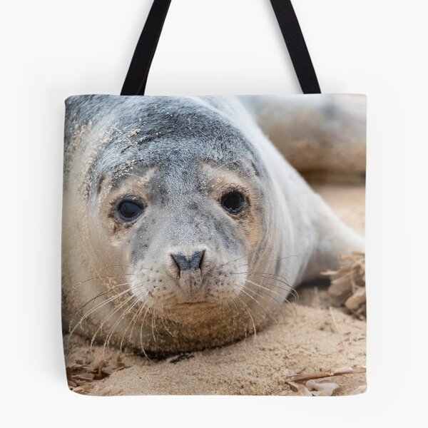 Item preview, Adorable grey seal pup designed and sold by cdkphotos.