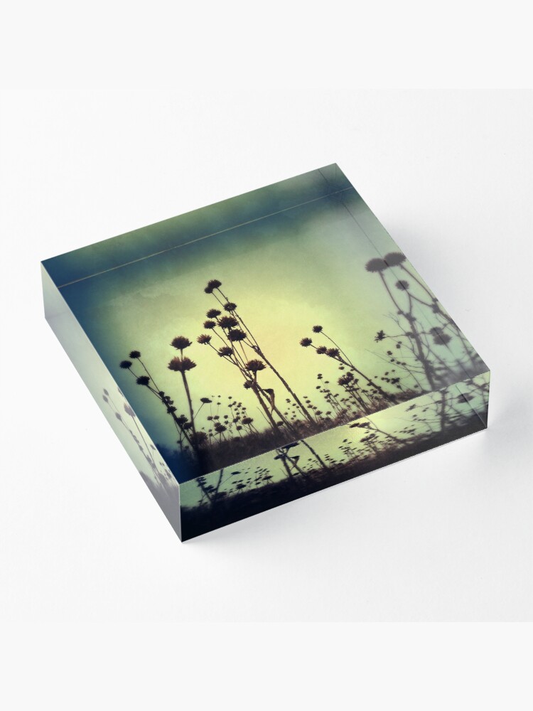 Alternate view of Walking Dead Acrylic Block