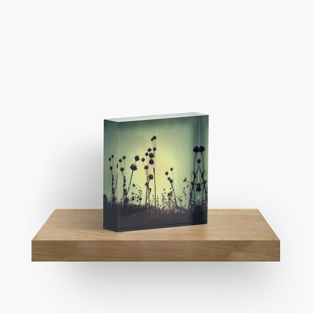 Walking Dead Acrylic Block