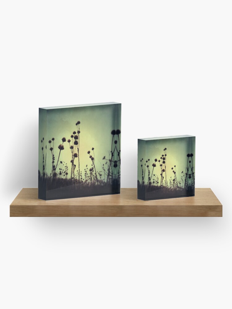 Alternate view of Walking Dead Acrylic Block