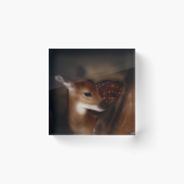bambi, graphic shirt Acrylic Block