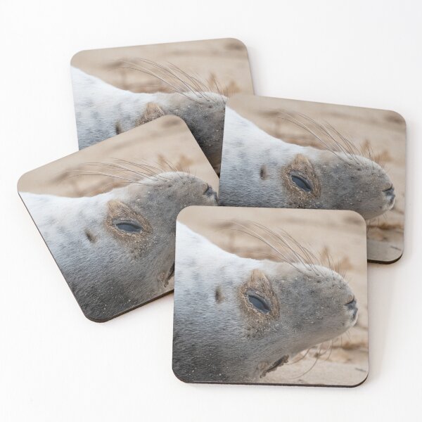 Item preview, Cute grey seal pup designed and sold by cdkphotos.
