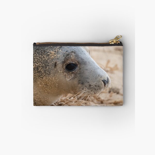 Item preview, Close up of a grey seal pup designed and sold by cdkphotos.
